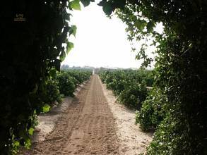 Thumbnail von ***Traumhaftes Anwesen mit Privatpool in der Provinz Alicante***