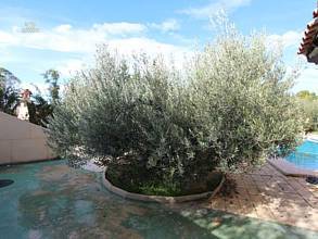 Thumbnail von ***Villa im Raum Busot mit einem schönen Berg-Panoramablick***