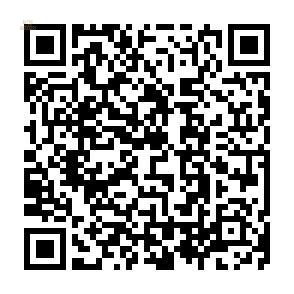 Thumbnail von ***Einfamilienhäuser in modernem Design mit Privatpool***