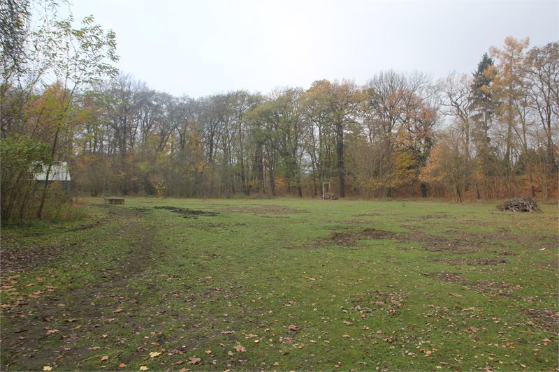 Thumbnail von Schlossherr mit Ideen gesucht