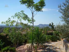 Thumbnail von ***Top gepflegte Villa mit Meerblick, Garage und Privatpool***