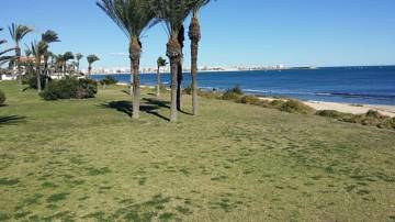 Thumbnail von ***Am Meer - Geschmackvoll gestaltetes und gut ausgestattetes Apartment 2 Schlafzimmer bei Torrevieja***