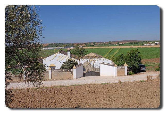 Immogold Finca, Landhaus mit ca. 60.000 m² Land, nahe Arcos de la Frontera (Junta de los Rios)
