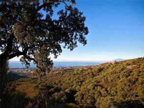 Thumbnail von ***NEUBAUWOHNUNGEN IN LA MAIRENA IN OJEN***