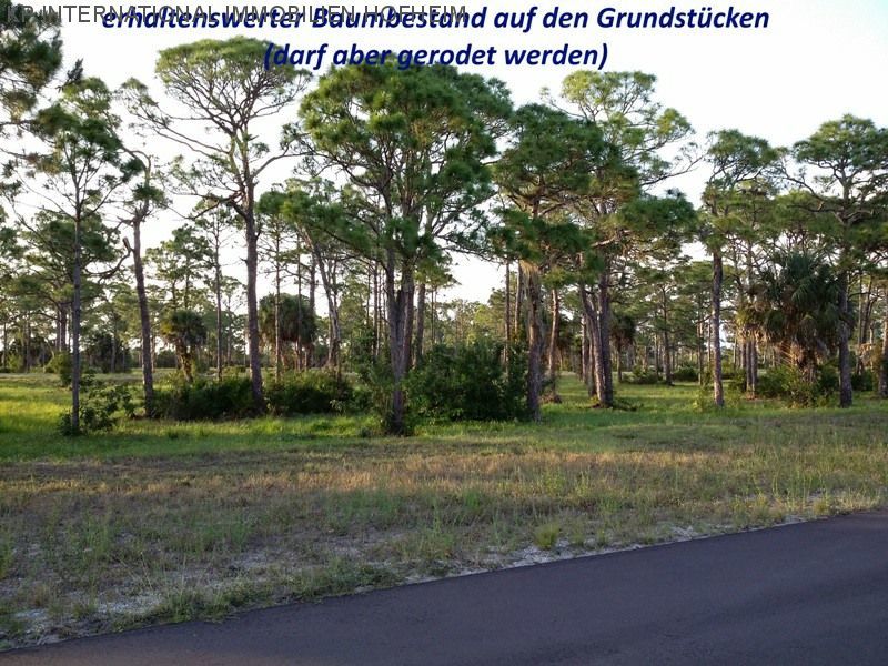 ***FLORIDA: Terreno de construcción con vegetación cerca de la playa - directamente del promotor***