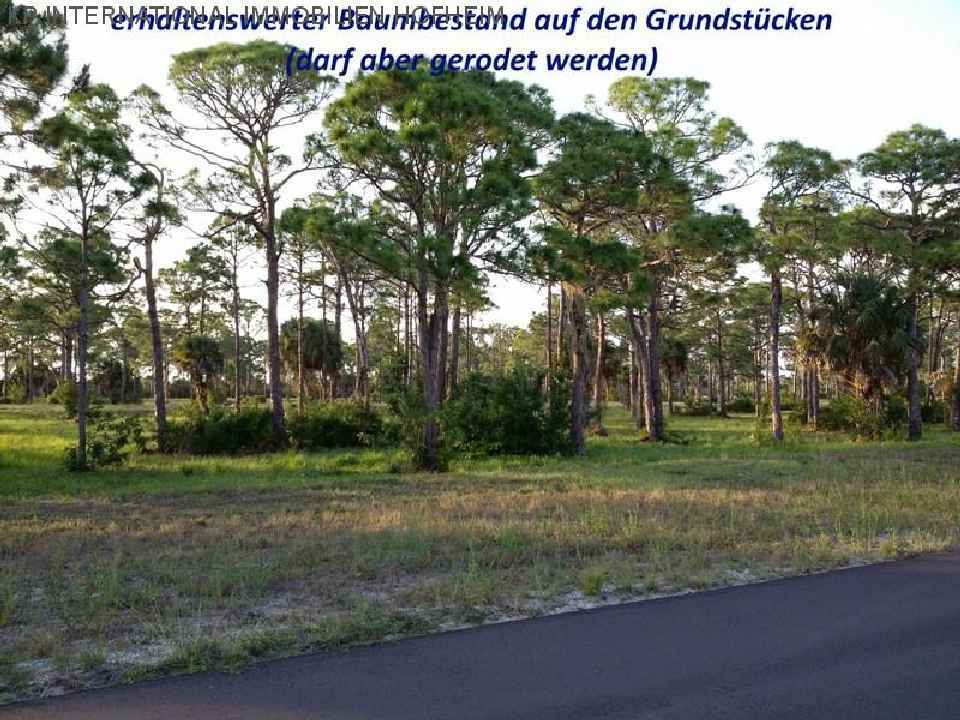 ***フロリダ：ビーチ近くの緑豊かな建築用地 - 直接ETから***