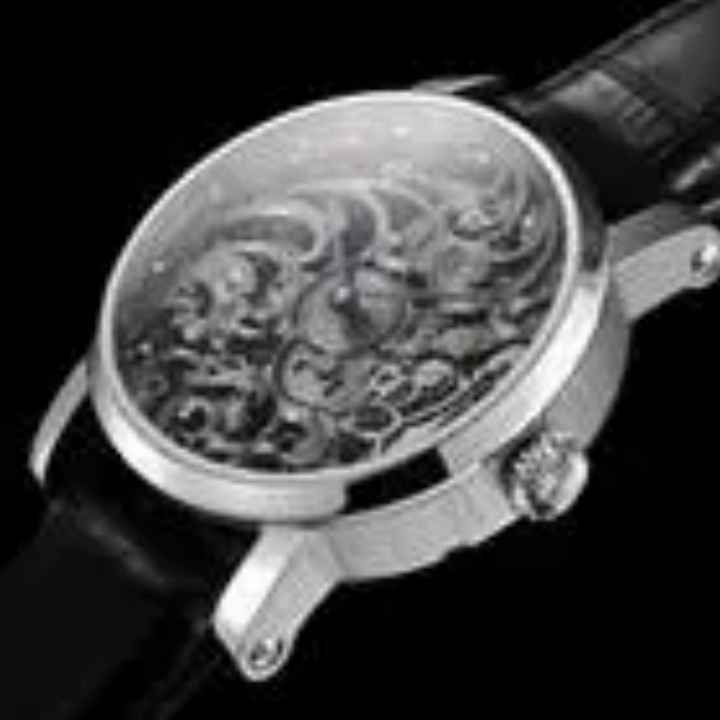  Benzinger Skelett Vollskelett Floral Grey 