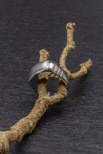 Thumbnail von Pequignet Moorea Damen 8315433 UVP 1.585,00 EUR