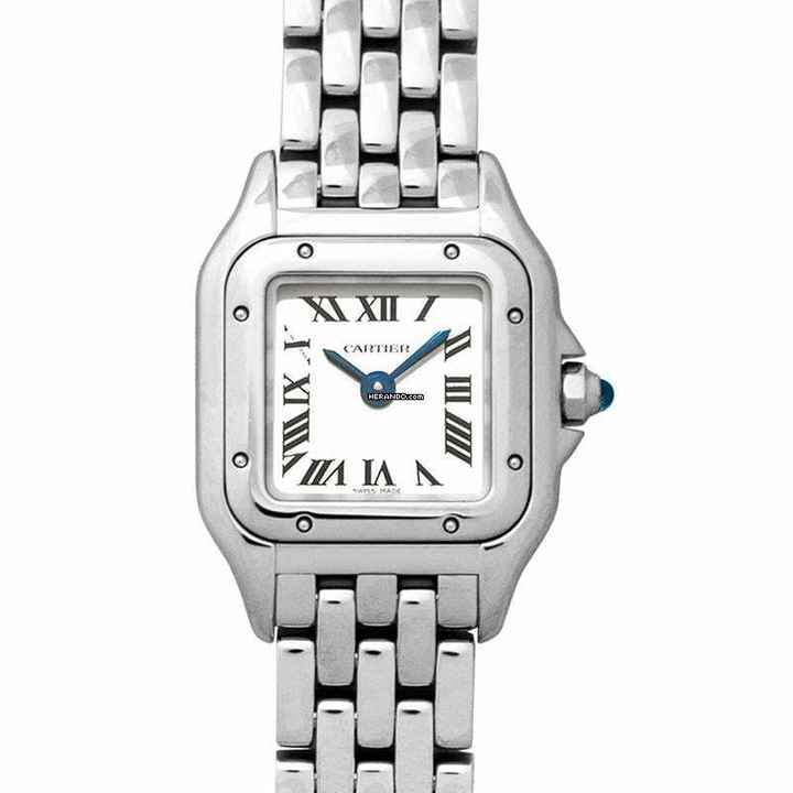  Cartier Panthère WSPN0019 - Panthere de Cartier Quartz Silver Dial Steel Case Ladies Watch </h1> 