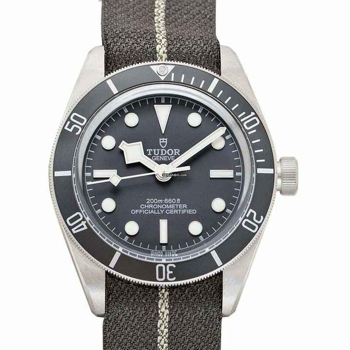  Tudor 79010SG-0002 - Automatic Grey Dial Crystal Men's Watch </h1> 