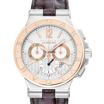  Bulgari Diagono 101879 - Diagono Automatic Silver Dial Stainless Steel Men's Watch </h1> 