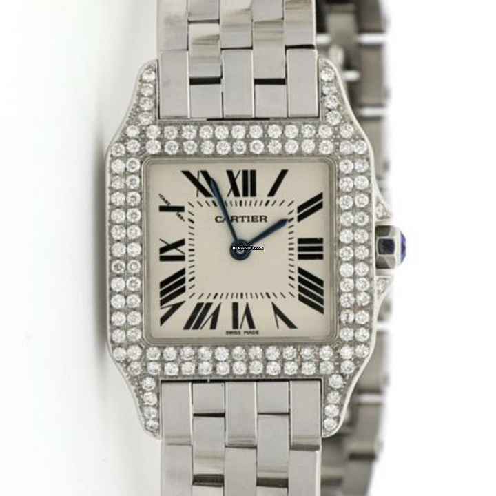  Cartier Santos Demoiselle Quartz Steel 26mm Diamond Watch </h1> 