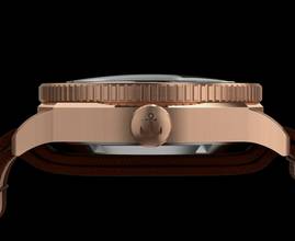 Thumbnail von Viribus Unitis L47 Bronze