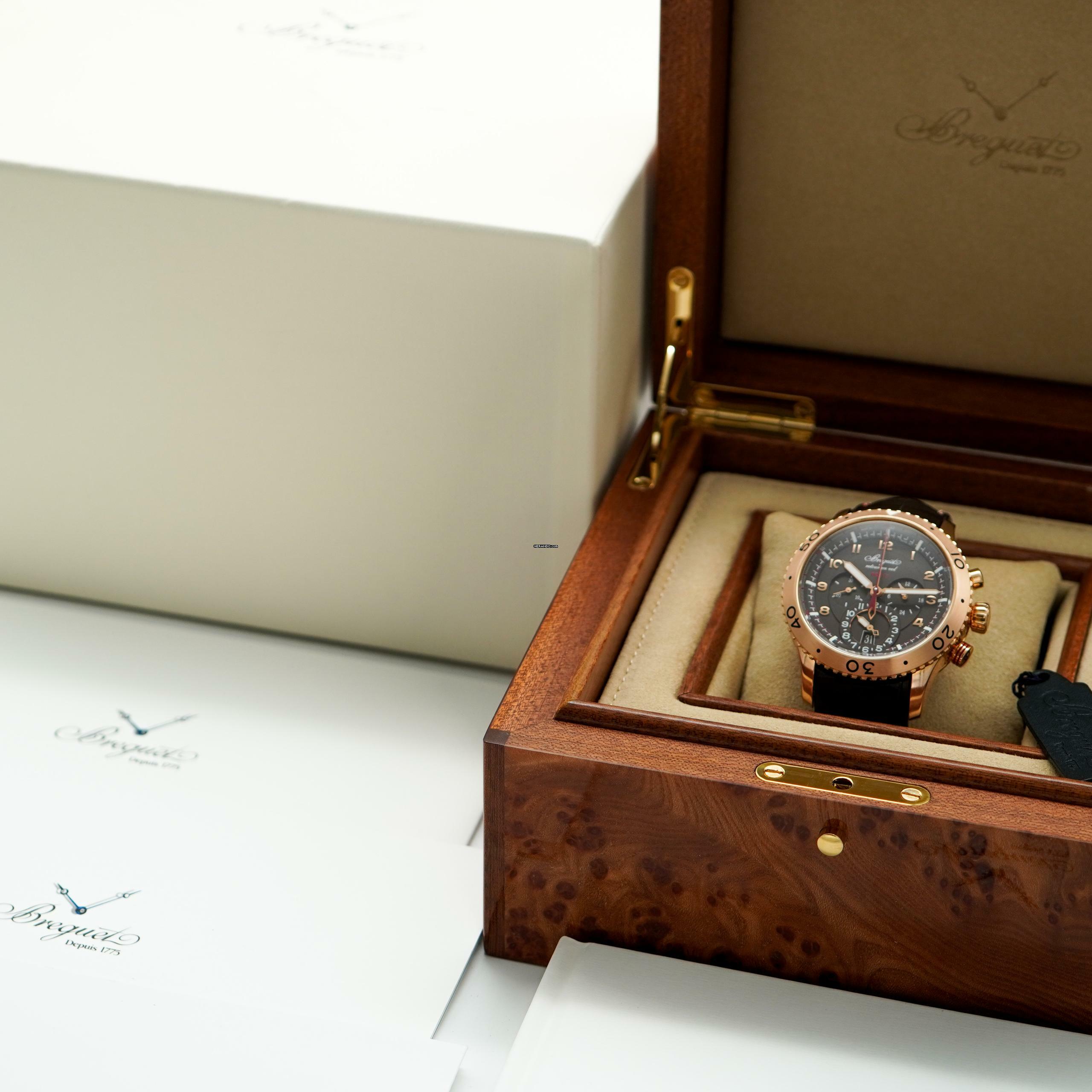 Thumbnail von Breguet Type XX - XXI - XXII Flyback </h1>