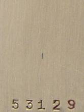 Thumbnail von Zeus Ladies Wristwatch </h1>