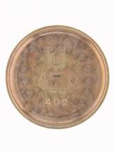 Thumbnail von Universal Ladies Automatic Wristwatch </h1>