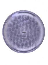 Thumbnail von Viking Ladies Wristwatch Chronograph </h1>