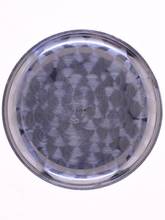 Thumbnail von Record Gents Wristwatch Chronograph </h1>