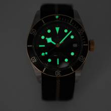 Thumbnail von Tudor Black Bay S&G M79733N