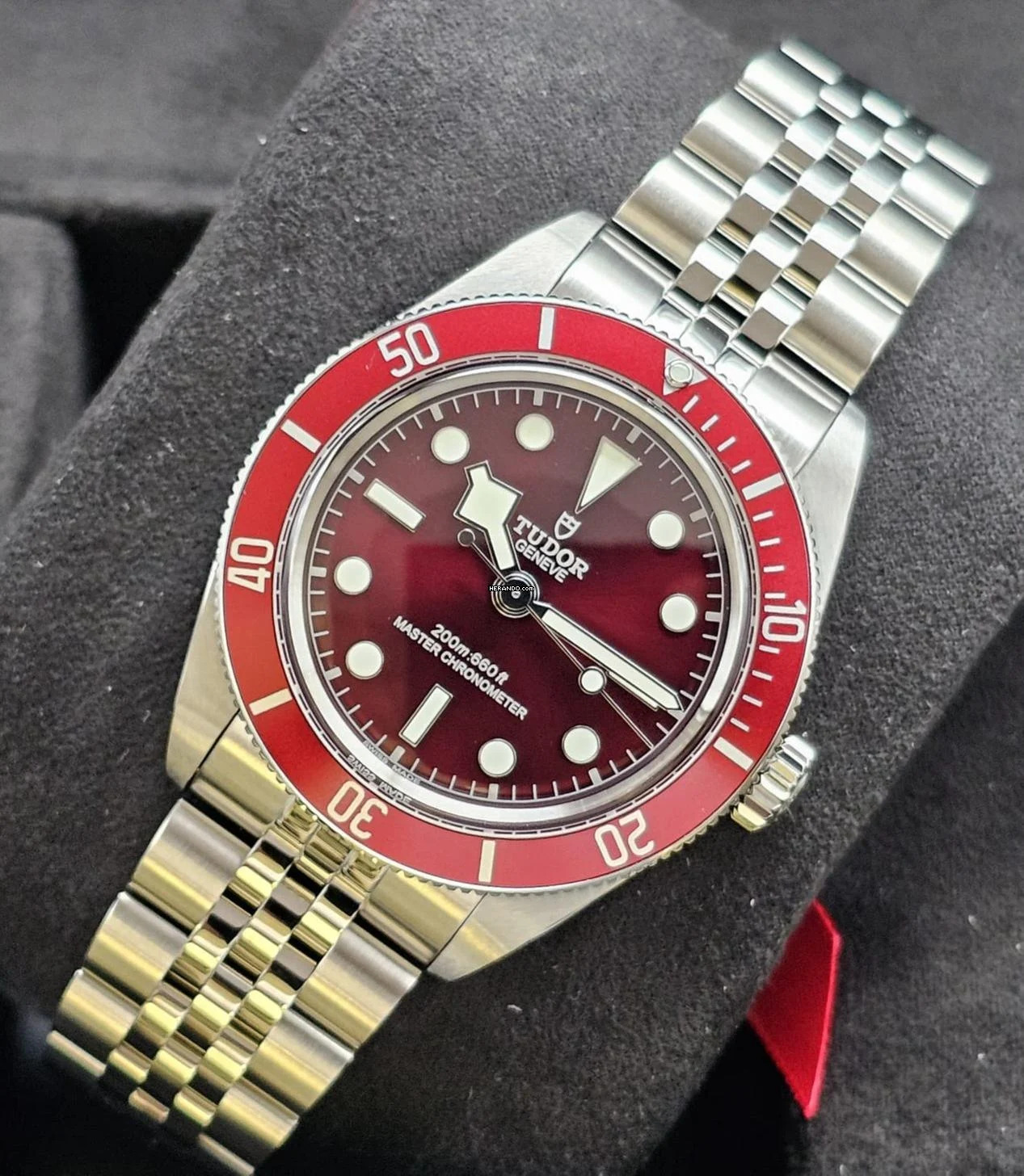Tudor Black Bay 58 M7939A1A0RU-0001 Burgundy Jubilee Unworn/New Condition Full Set 3-2026