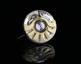 Thumbnail von Holthinrichs Signature Titanium in 4 Optionen möglich