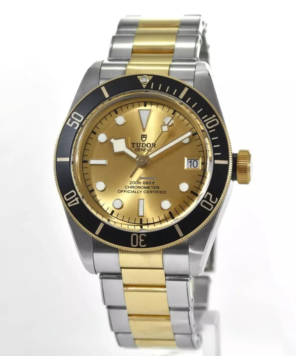 Tudor Black Bay S&G Ref. M79733N-0004