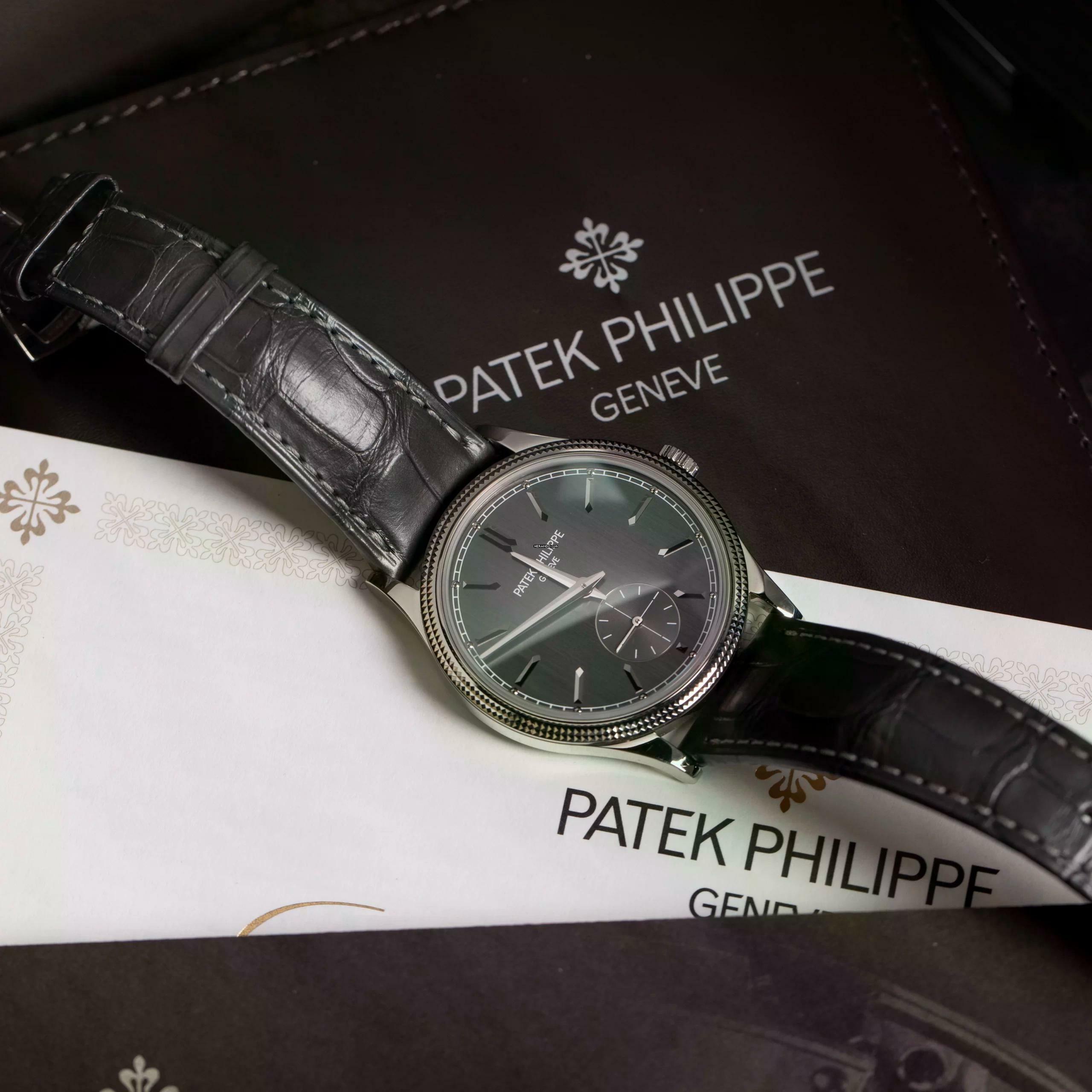  Patek Philippe Calatrava 6119G-001 