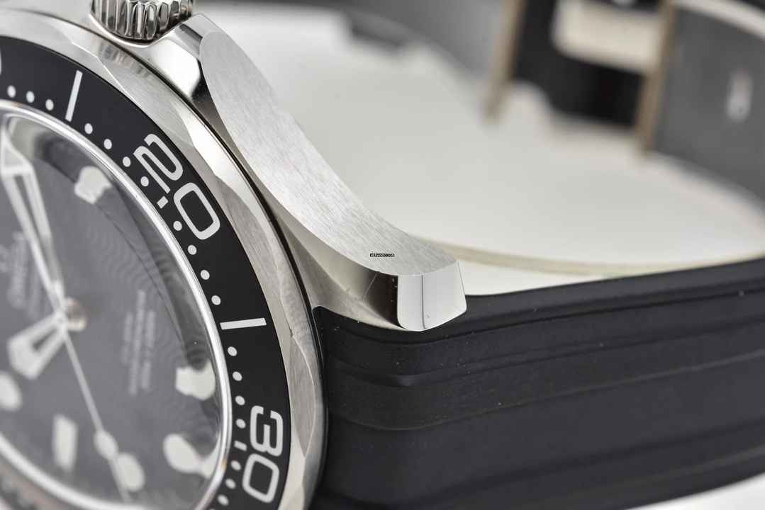  Omega Seamaster Diver 300 M Professional 300M No Date Rubber 21030422001010 