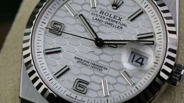 Thumbnail von Rolex Land-Dweller 36 Steel - New Model - New - Fullset - 11/2025