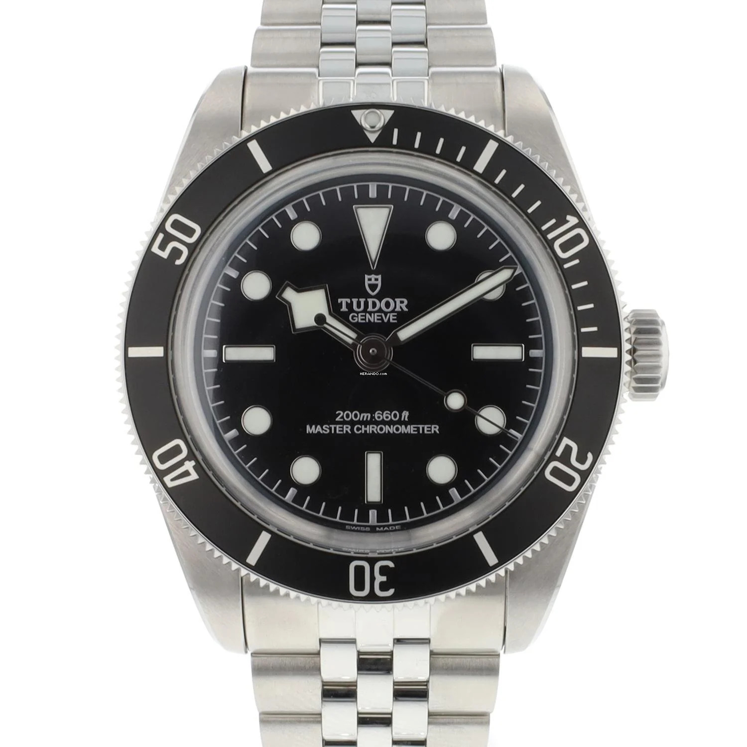 Tudor Black Bay Steel Dial Monochrome