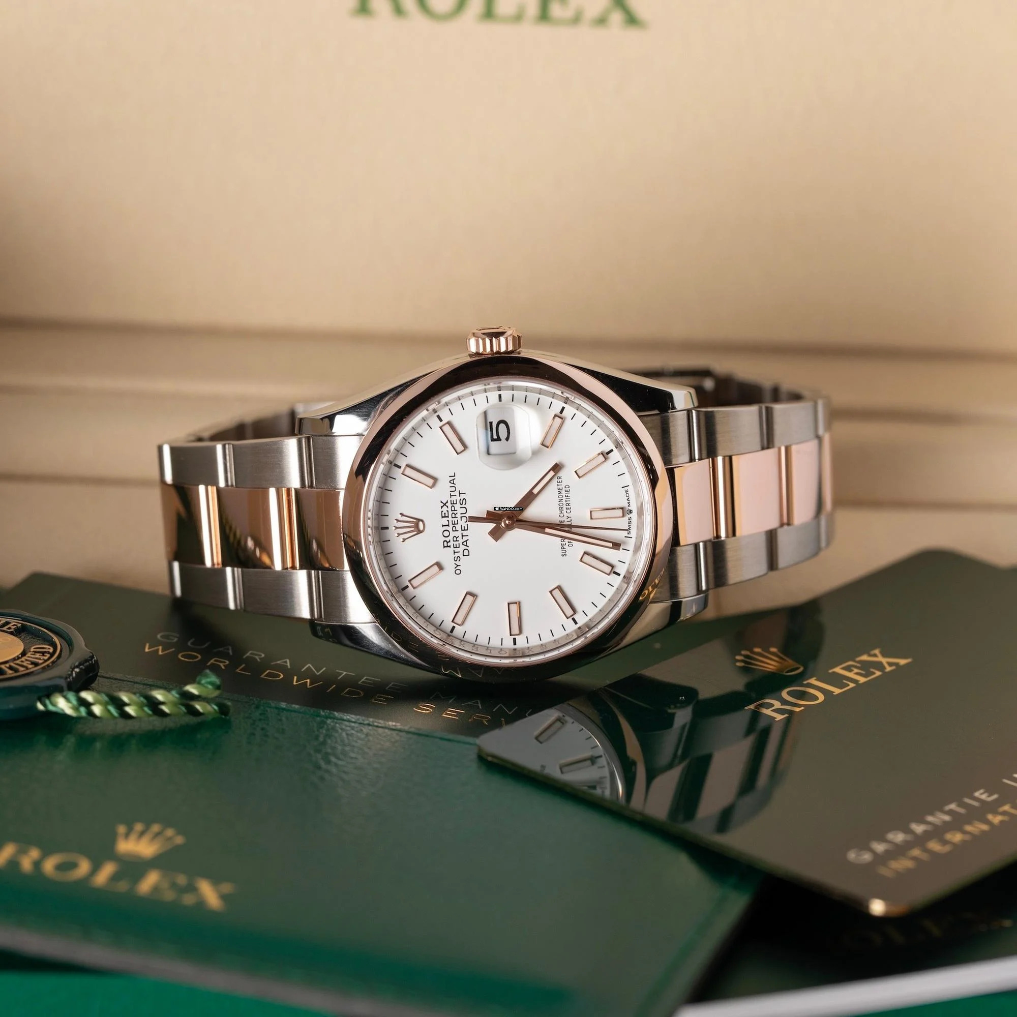 Rolex Datejust 36 2024 Full Set