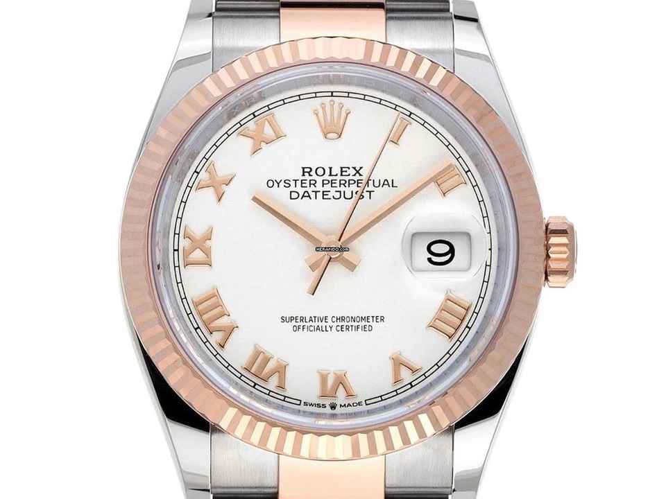  Rolex Datejust 36 Ref.126231 2024 Full Set Ungetragen Datejust 