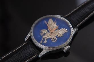 Thumbnail von Trenyo Pegassus Unique Piece