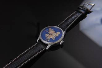 Thumbnail von Trenyo Pegassus Unique Piece