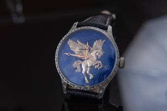 Thumbnail von Trenyo Pegassus Unique Piece