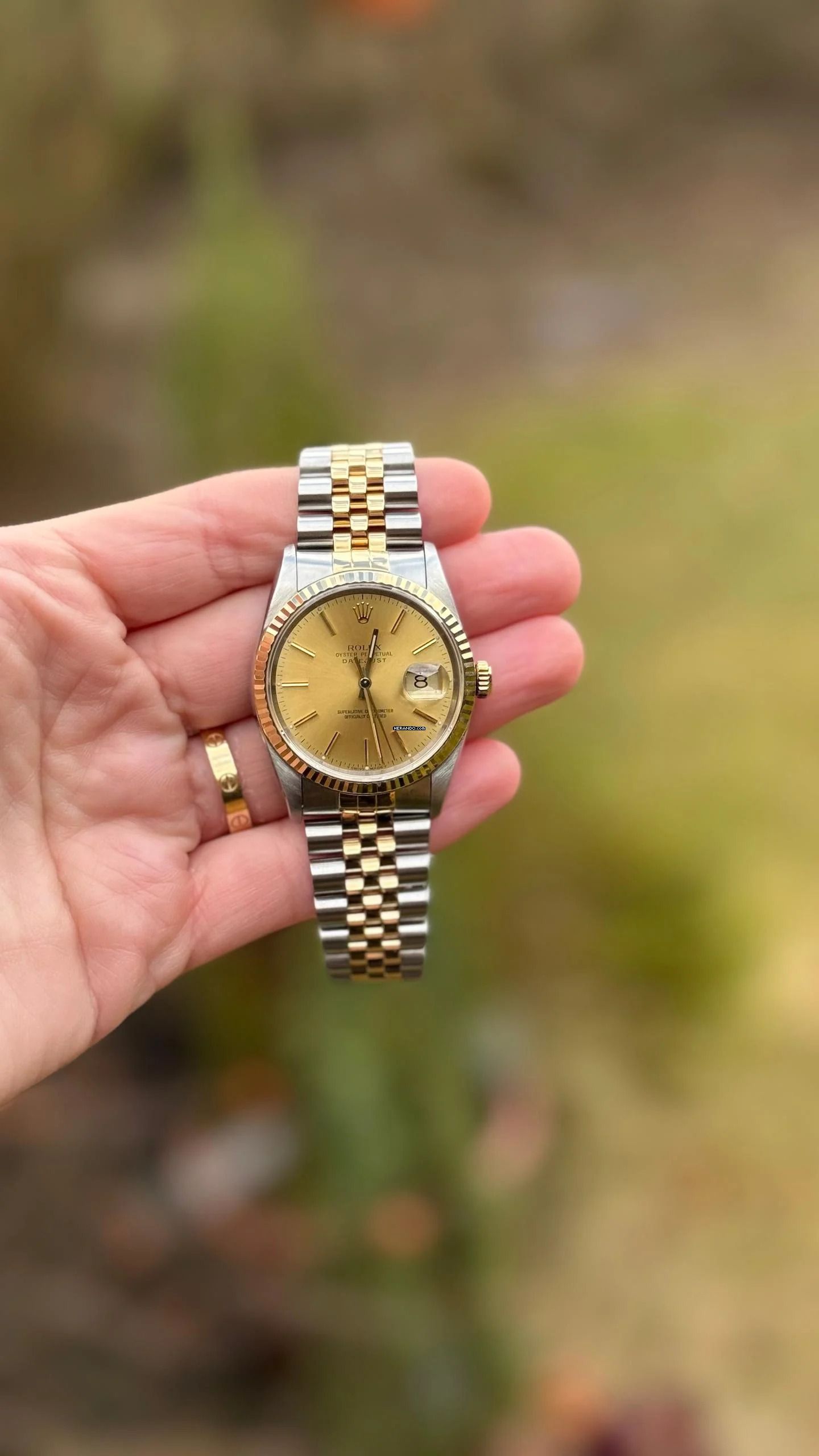 Thumbnail von Rolex Datejust 36 Top condition no stretch perfect example!
