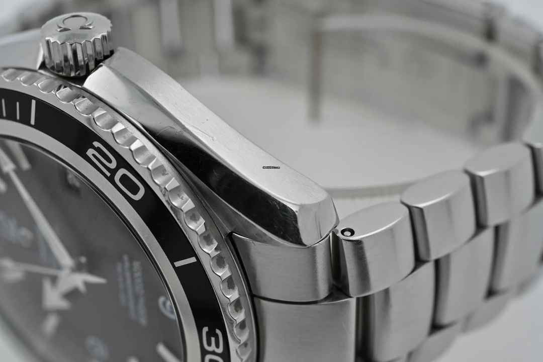  Omega Seamaster Planet Ocean 45.5mm 2200.50 