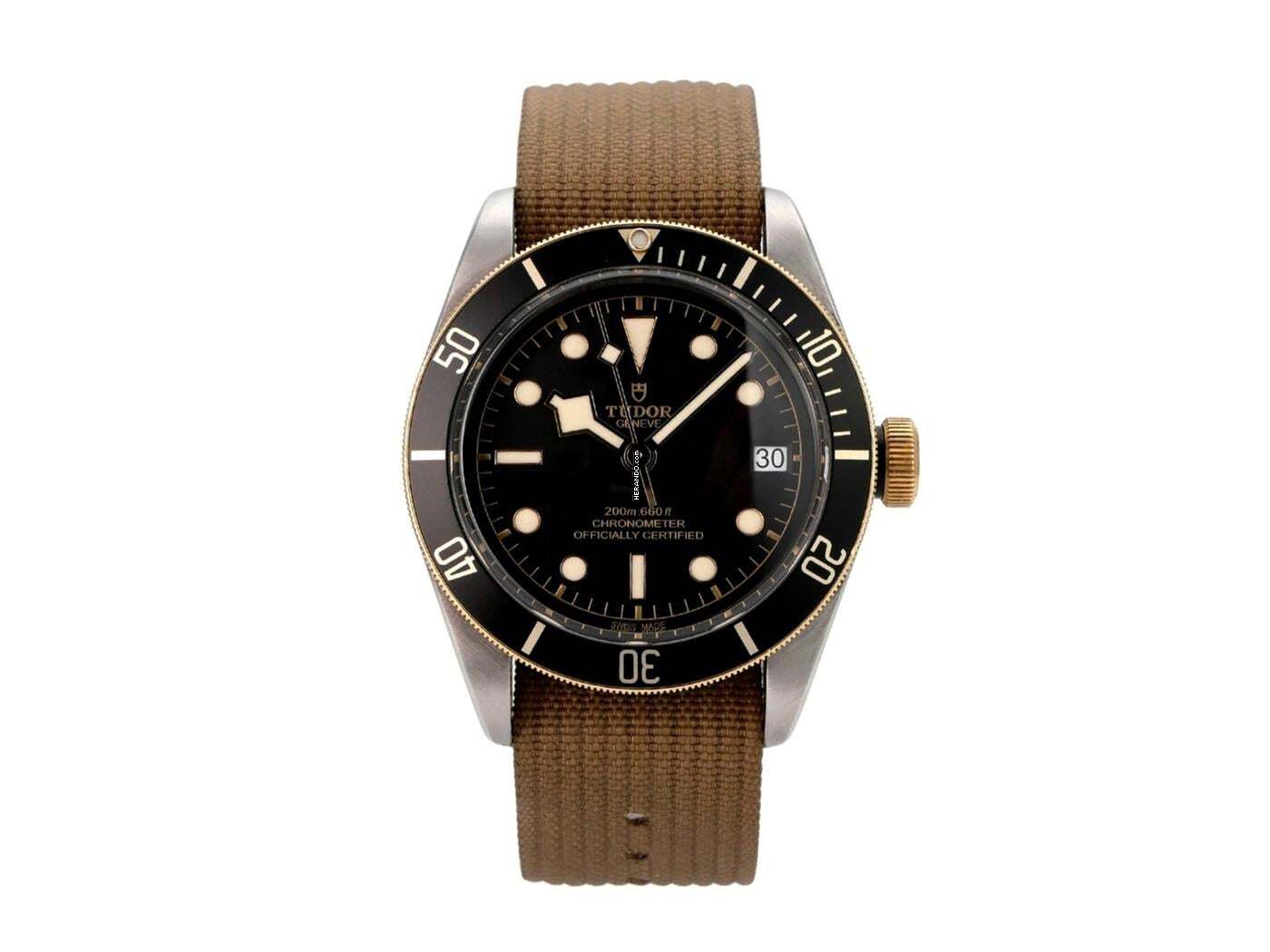 Tudor Black Bay S&G Steel Gold Textilband M79733N-0005