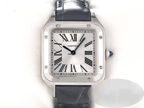 Cartier Santos Dumont Kleines Modell Edelstahl Wssa0086 2026 Stahl Steel