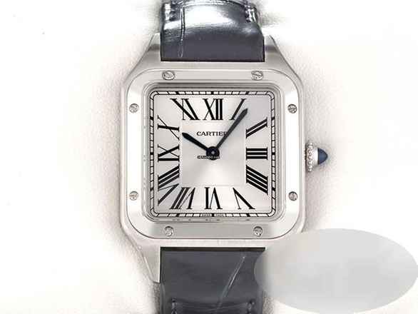 Cartier Santos Dumont Kleines Modell Edelstahl Wssa0086 2026 Stahl Steel 