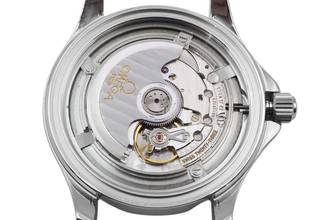 Thumbnail von Omega Seamaster Diver 300 M GMT White Dial Stahl Automatik Herrenuhr Ref. 2538.20.00