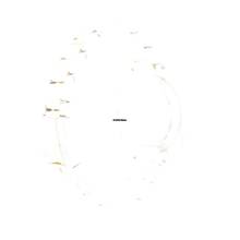 Thumbnail von Rolex Daytona Stahl/Gold Champagner Zifferblatt