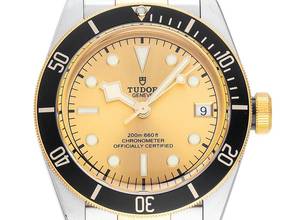  Tudor Black Bay S&G Ref.M79733N-0004 2026 Full Set Ungetragen Black Bay S&G 