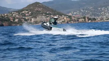 Thumbnail von Goldfish Sport 30 CARREDAS