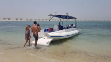 Thumbnail von Ocean Craft Marine 8.75M Beachlander