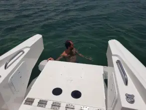 Thumbnail von Ocean Craft Marine 8.75M Beachlander