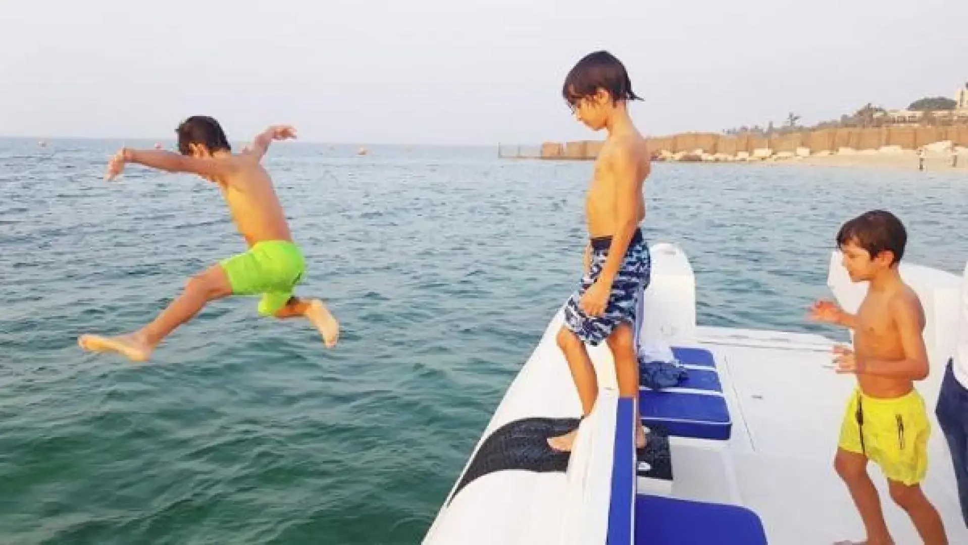 Thumbnail von Ocean Craft Marine 8.75M Beachlander