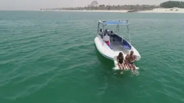 Thumbnail von Ocean Craft Marine 8.75M Beachlander