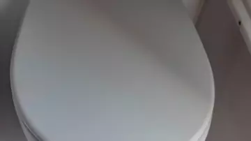 Thumbnail von Alfastreet Marine 23 Sport Open