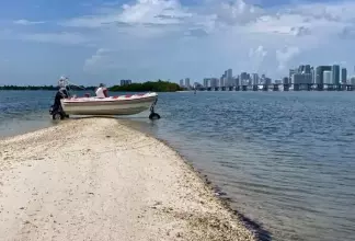 Thumbnail von Ocean Craft Marine 7.1 M Amphibious